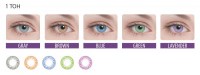 adria_color_1tone_25